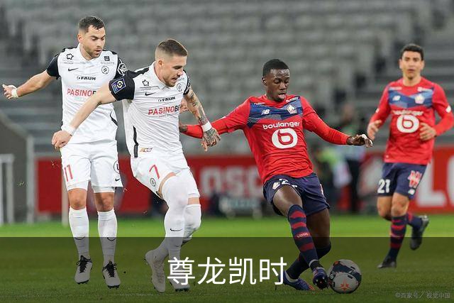 尊龙凯时公司介绍